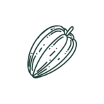 Logo fève de cacao